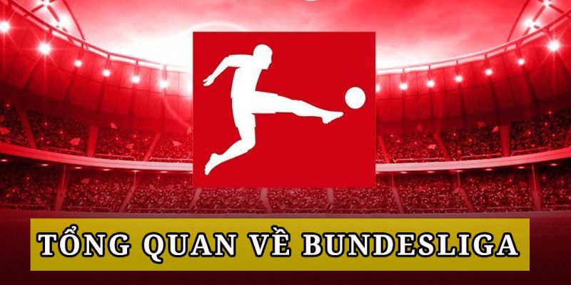 Kèo bóng đá Bundesliga hấp dẫn