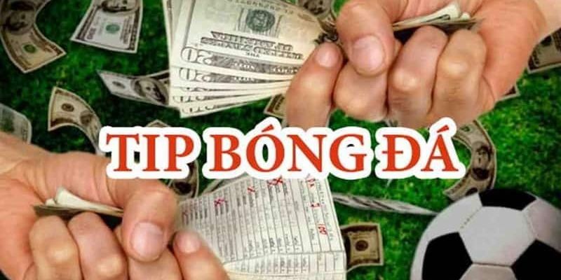 Soi kèo nội gián cách phân tích